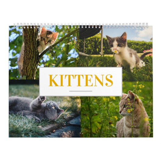Cat Calendar Felines Calendar Zuhause Wand an Wand Kalender (Titelbild)