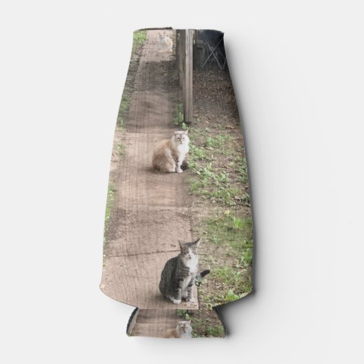 Cat Can Cooler Flaschenkühler (Vorderseite)