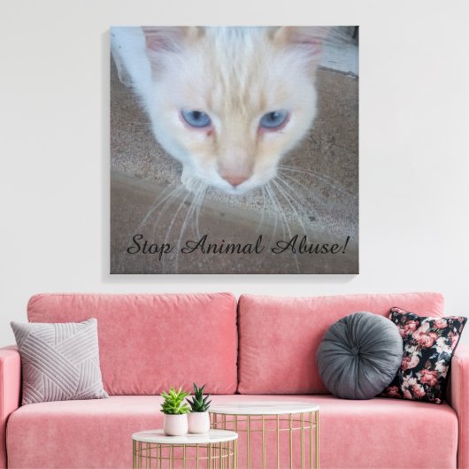 Cat Canvas Print Leinwanddruck (Insitu (Wohnzimmer))