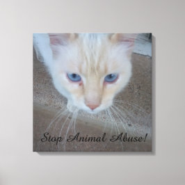 Cat Canvas Print Leinwanddruck