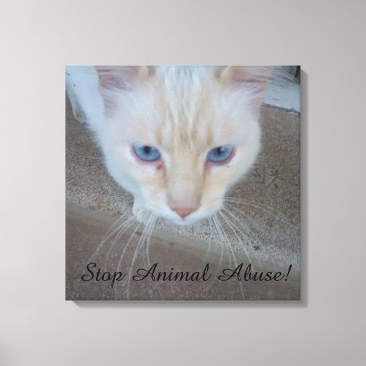 Cat Canvas Print Leinwanddruck (Vorderseite)