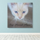 Cat Canvas Print Leinwanddruck (Insitu (Holzboden))
