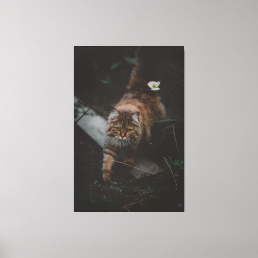 Cat Canvas Print Picture 17 Leinwanddruck (Vorderseite)