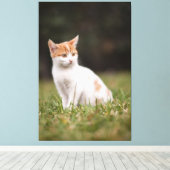 Cat Canvas Print Picture 18 Leinwanddruck (Insitu (Holzboden))