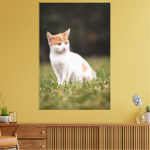Cat Canvas Print Picture 18