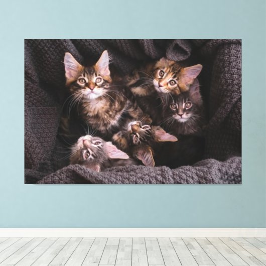 Cat Canvas Print Picture 21 Leinwanddruck (Insitu (Holzboden))