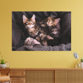 Cat Canvas Print Picture 21 Leinwanddruck