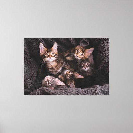 Cat Canvas Print Picture 21 Leinwanddruck (Vorderseite)