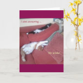 Cat Card 2 lustiges Foto / Text plus abstrakte Kun Karte (Gelbe Blume)