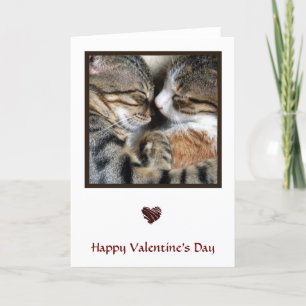 Cat Card Feiertagskarte