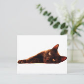 Cat Card Postkarte (Stehend Vorderseite)
