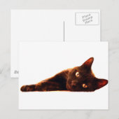 Cat Card Postkarte (Vorne/Hinten)