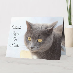 Cat Card Vielen Dank Karte
