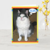 Cat Cards, Funny Get well Karte (Gelbe Blume)
