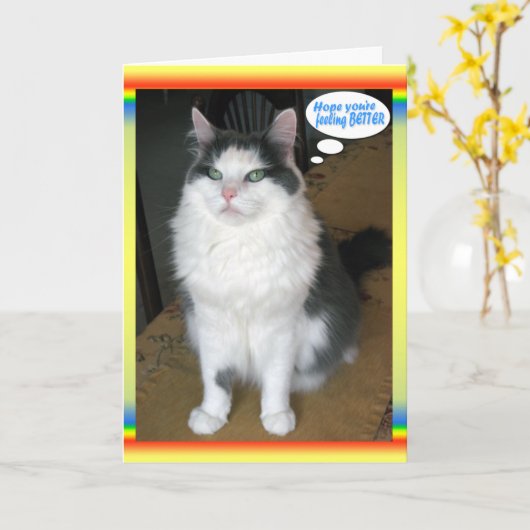 Cat Cards, Funny Get well Karte (Gelbe Blume)