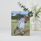 Cat Catcher im Outfield! Postkarte (Stehend Vorderseite)
