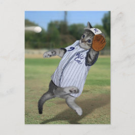 Cat Catcher im Outfield! Postkarte