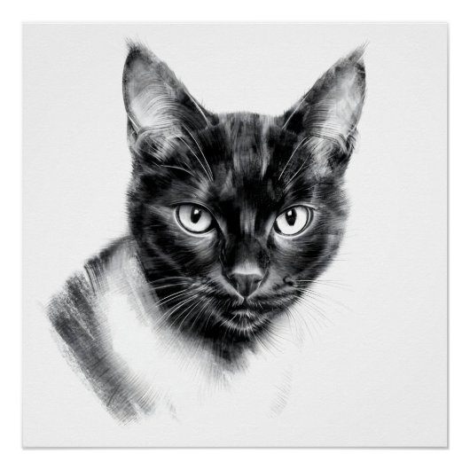Cat Charcoal Poster (Vorderseite)