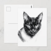 Cat Charcoal Postkarte (Vorne/Hinten)