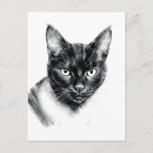 Cat Charcoal Postkarte (Vorderseite)