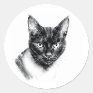 Cat Charcoal Runder Aufkleber