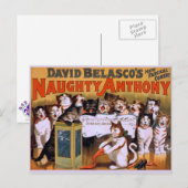 Cat Chorus! -Postkarte Postkarte (Vorne/Hinten)