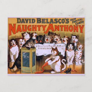 Cat Chorus! -Postkarte Postkarte