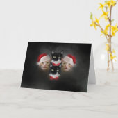 Cat Christmas Card Bohemisch Catsody Karte (Gelbe Blume)