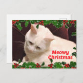 Cat Christmas Greetings Postkarte (Vorne/Hinten)