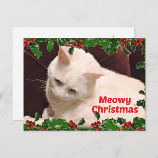 Cat Christmas Greetings Postkarte (Vorne/Hinten)