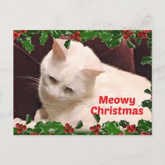 Cat Christmas Greetings Postkarte (Vorderseite)