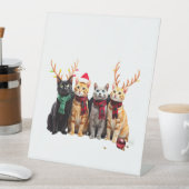 Cat Christmas Light Reindeer Santa Christmas Cat L Sockelschild (In Situ)