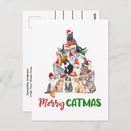 Cat Christmas Tree Cat Lover Weihnachtsfeiertag Postkarte (Vorne/Hinten)