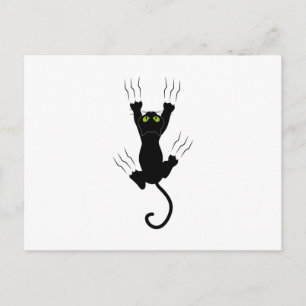 Cat claws gato com garras postkarte