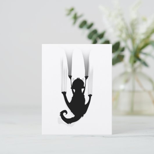 Cat Climb (Stehend Vorderseite)