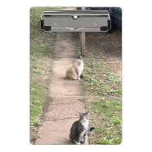 Cat Clipboard