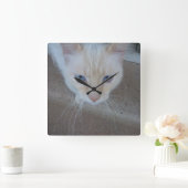 Cat Clock Quadratische Wanduhr (Zuhause)