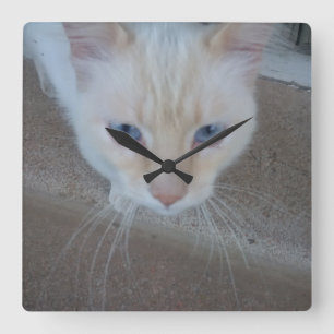 Cat Clock Quadratische Wanduhr