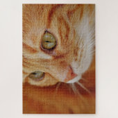 Cat Closing Foto Puzzle (Vertikal)