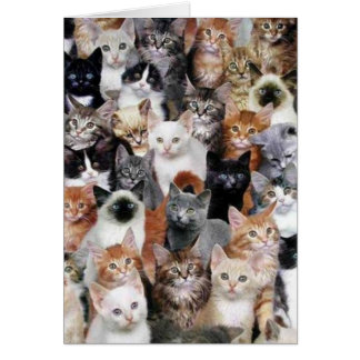 Cat Collage Card