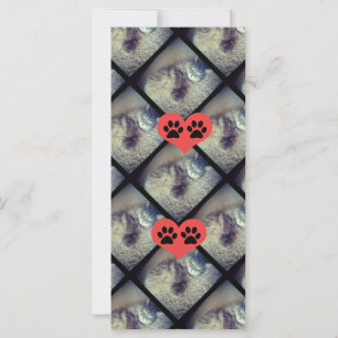 Cat Collage mit PawPrints von Shirley Taylor