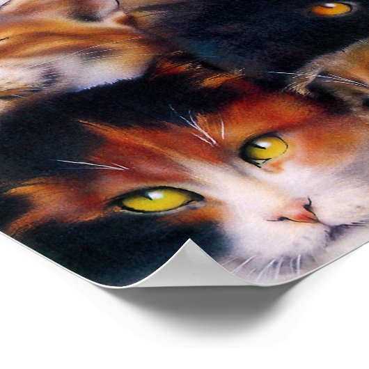 Cat Collage Poster (Ecke)