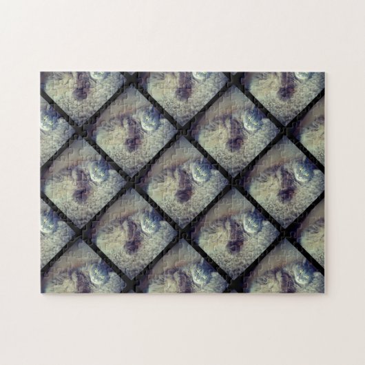 Cat Collage von Shirley Taylor Puzzle (Horizontal)