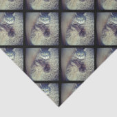 Cat Collage von Shirley Taylor Seidenpapier (Ausschnitt)