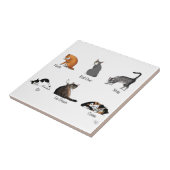 Cat Commands Fliese (Seite)