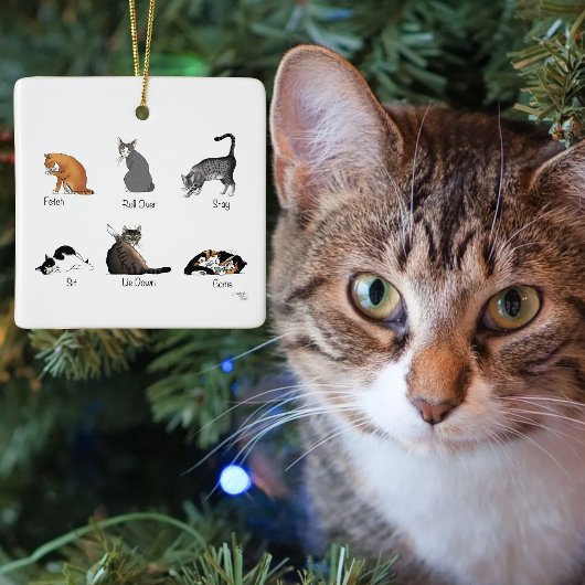 Cat Commands Keramikornament