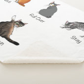 Cat Commands Sherpadecke (3/4)