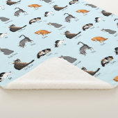 Cat Commands Sherpadecke (3/4)