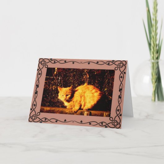 Cat Condolence Card Karte (Vorderseite)
