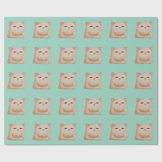 Cat Control Geschenkpapier (Flach)